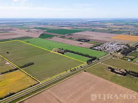 90 ha agrícolas sobre ruta. Pavón, Dto. Constitución, Santa Fe.