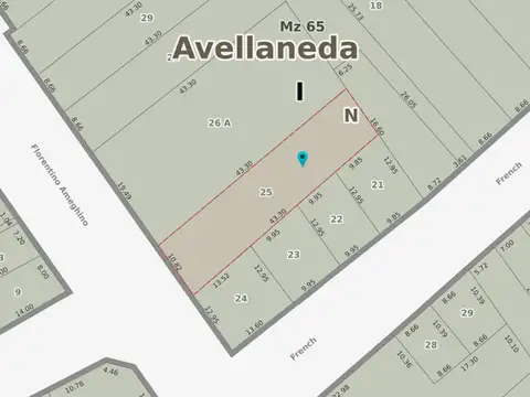 Florentino Ameghino 400