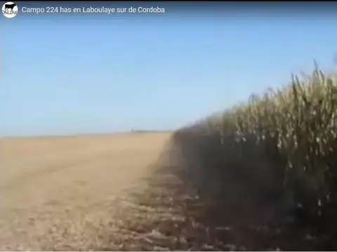 Zona Rural (Laboulaye)