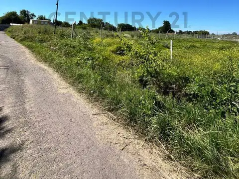 Terreno en Venta de 319,0 m2