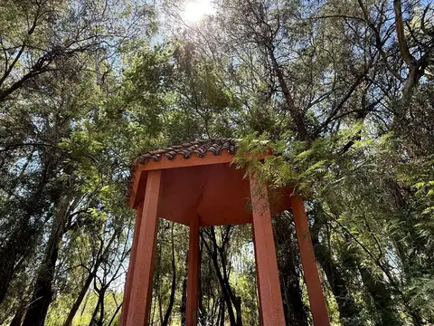 El toledano al 3000