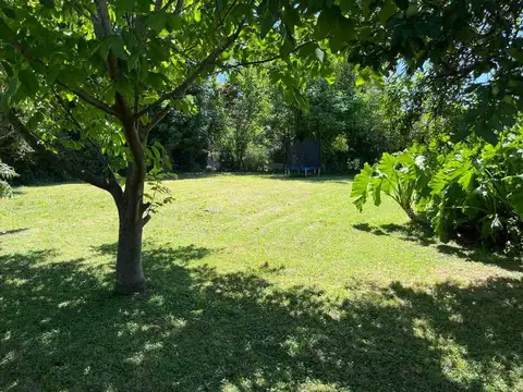 Quinta en Venta en Rojas, USD 115.000