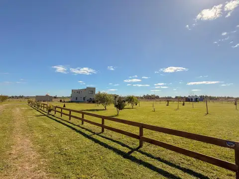 Camino del Quinton 0, San Antonio de Areco, Buenos Aires, Argentina