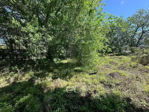 Los Chañares, Tanti