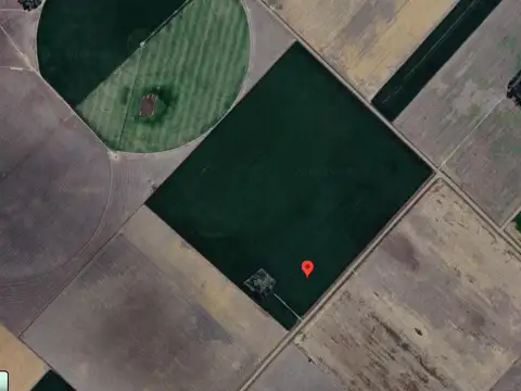 Campo en venta - 10.98 Hectáreas - Rojas