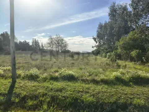 LOTES EN VENTA SAMBOROMBON BRANDSEN