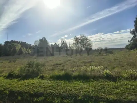 LOTES EN VENTA SAMBOROMBON BRANDSEN