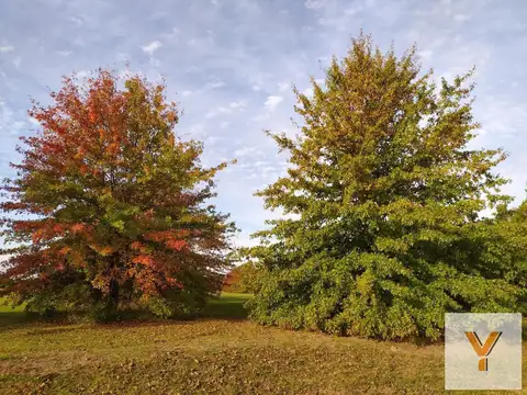 Terreno en venta - 3.000Mts2 - La Primavera Golf, Carlos Keen