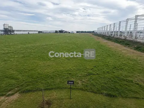 Terrenos Industriales desde 5600 m²en Venta – Juntos o Separados – Polo Industrial Ezeiza