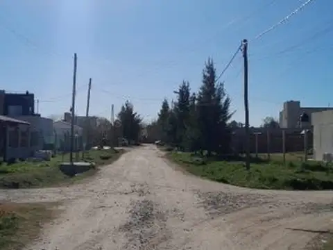 Tucumán entre Gatti y Salta