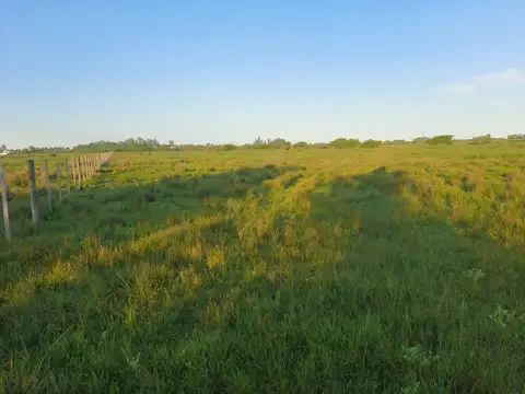 VENDO PARCELA DE 2 HECTAREAS CERCA DE VILLA ELISA 