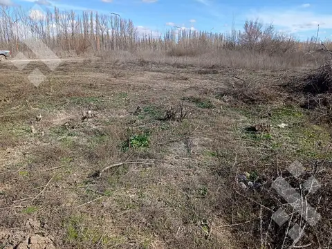 Terreno en Cinco Saltos - Barrio Fideicomiso