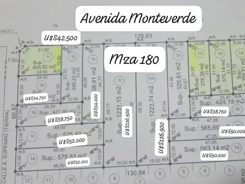 Lotes Baldios en Venta
