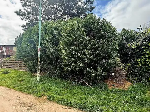 Calle 437 500