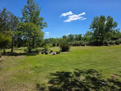 Local en Alquiler 46 años