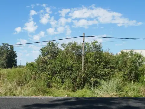 Ruta 73