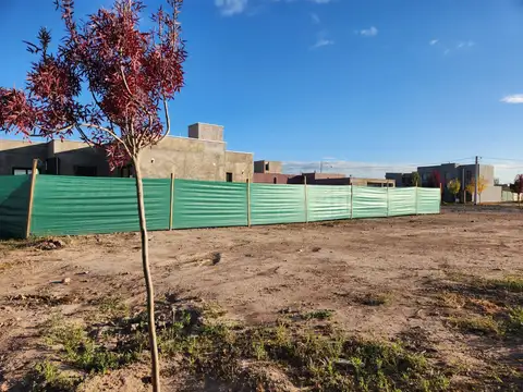 Terreno en Venta 26  mts Fondo