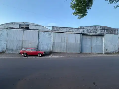 Doctor Florentino Felippone 600