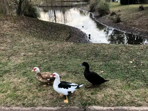Terravista Lote Interno