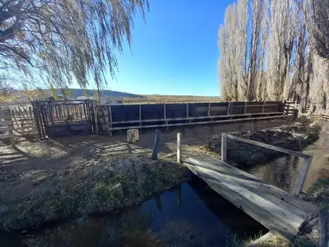 RUTA PROVINCIAL 21, KM 31. DEPARTAMENTO PICUNCHES , Piso 0