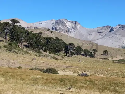 Campo en Venta de 1,20  ha