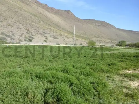 RUTA PROVINCIAL 21, KM 31. DEPARTAMENTO PICUNCHES , Piso 0