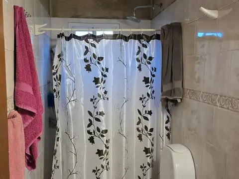 137 al 3100
