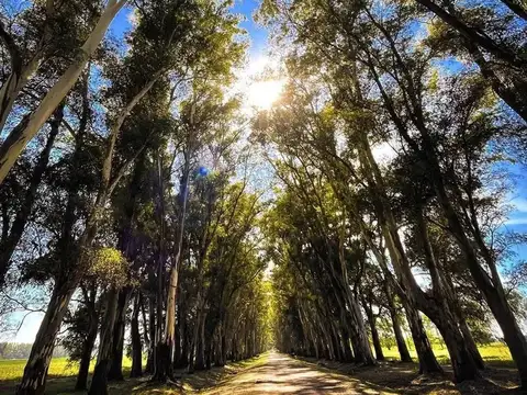 Terreno en Venta en Villa Ruiz, USD 27.000