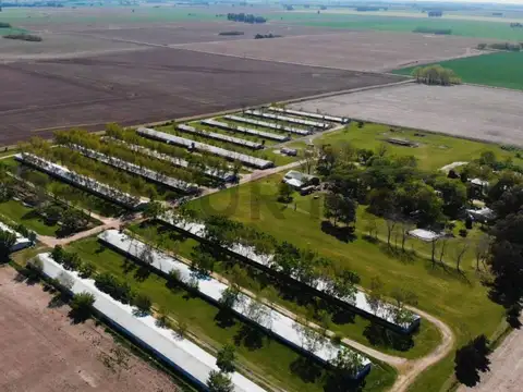 ruta 193 & camino a andonae , Piso 0