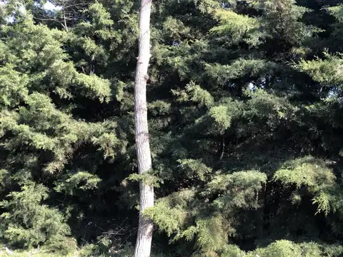 Terreno en Venta en Del Viso, USD 1.512.000