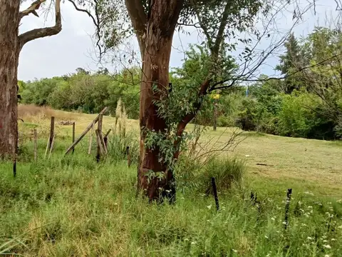 Terreno en Venta de 748,0 m2