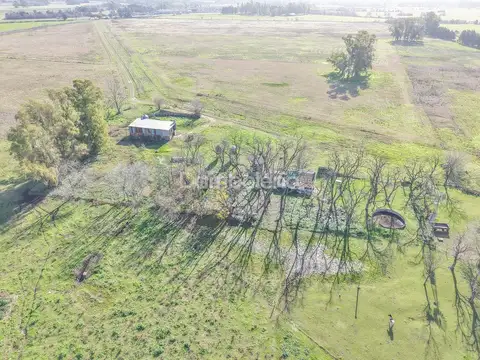 Terreno Campo  en Alquiler en General Rodríguez,  G.B.A. Zona Oeste