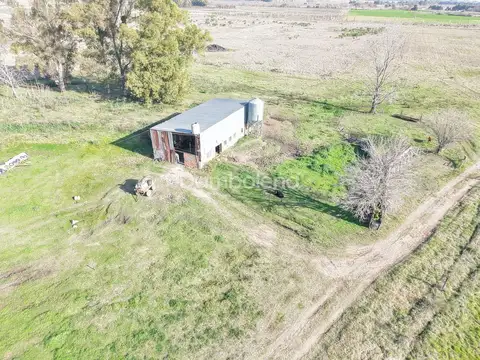 Terreno Campo  en Alquiler en General Rodríguez,  G.B.A. Zona Oeste