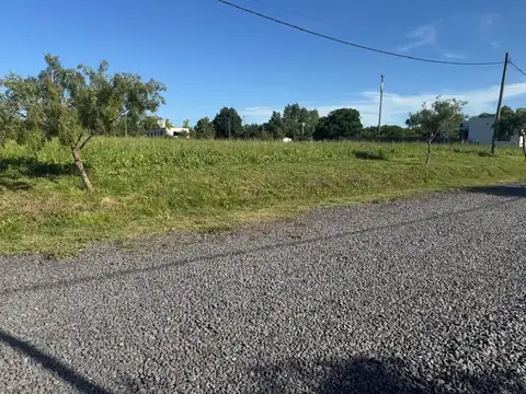 LOTE EN VENTA EN BARRIO LA FRANCISCA