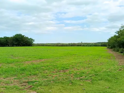 costanera