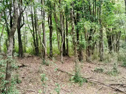 Terreno en Venta de 50010,0 m2