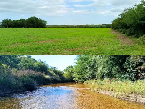 Excepcional fracción de 5 hectáreas con 500 m de costa de río – ideal desarrollo