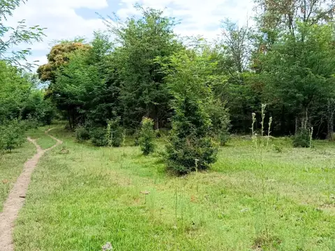 Excepcional Fracción de 5 Hectáreas con 500 m de Costa de Río – Ideal Desarrollo