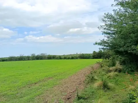 costanera