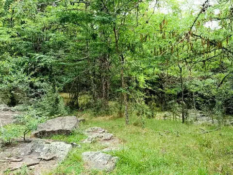 Terreno en Venta 100  mts Fondo