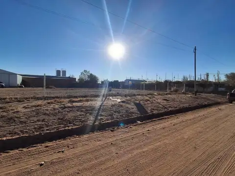 Galpon en Alquiler 50  mts Fondo