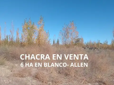 CHACRA EN VENTA EN ALLEN- 6 ha sin producción