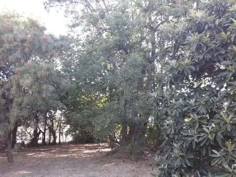 Terreno en venta - 20 x 56mts - 1123mts2 - El Rodeo, Abasto, La Plata