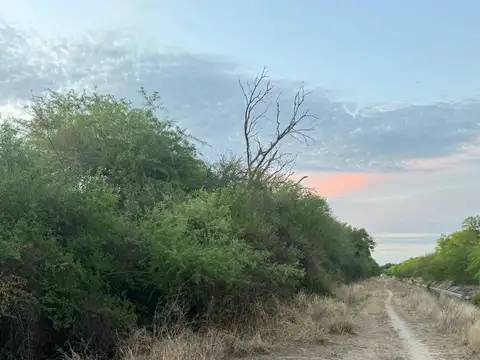 Venta de Lotes en Santa Teresa – Paraje Cardozo