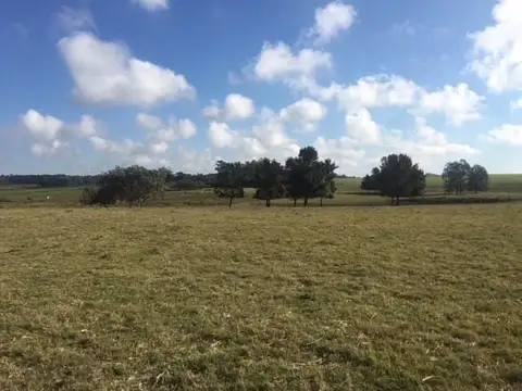 Quinta en Venta en Manantiales, USD 350.000