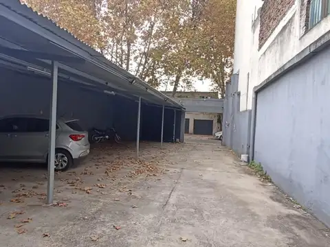SPRINGOLO 1000
