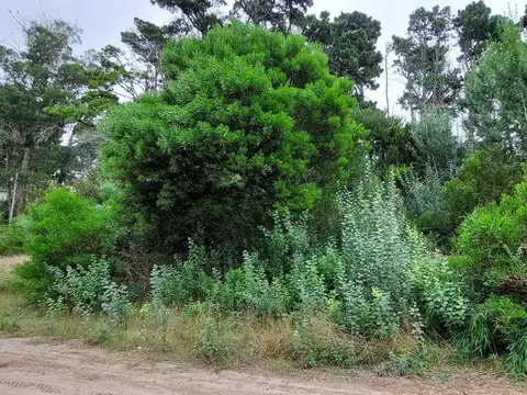 Terreno en Venta en Pueblo San Jose, USD 120.000
