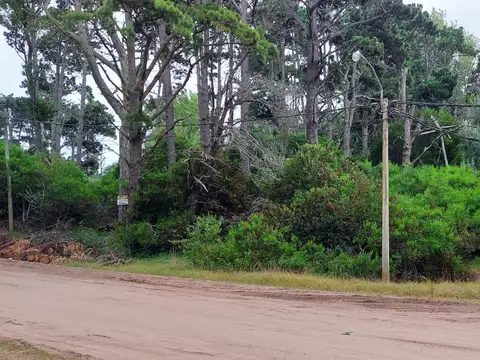 Excelente esquina compuesta por 4 lotes