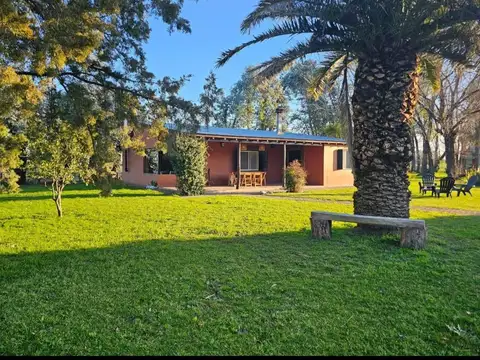 Chacra de 2,8 ha en Mercedes con casa, quincho, pileta y arboleda a 10 km de la ciudad sobre ruta 41