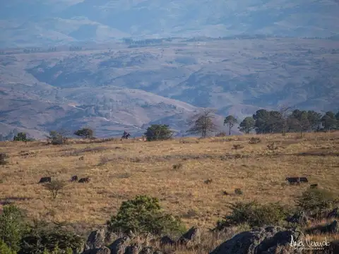 Chacra en  ATOS PAMPA, 6.5 Ha, con CHALET DE TRES DORM, TANQUE AUSTRALIANO DE 50.000 LTS